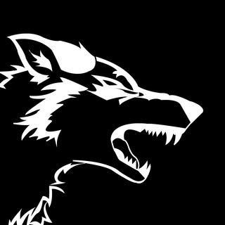 Telegram profile photo for Білі Вовки