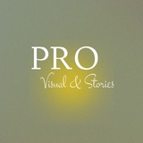 Telegram profile photo for PRO