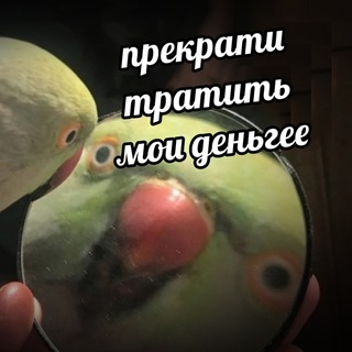 Telegram profile photo for pushaludik - ХАЛЯВЫ + ПРОМОКОДЫ НА САЙТЫ