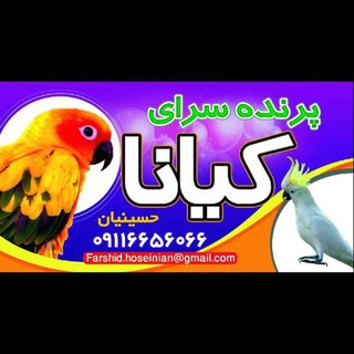 Telegram profile photo for خرید و فروش انواع حیوانات