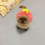 Telegram profile photo for уголок секрета 🤗