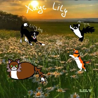 Telegram profile photo for Хаус Lily✨🌿