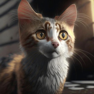 Telegram profile photo for Дени в стране чудес ✨