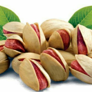 Telegram profile photo for پسته کاران دامغان(نوین کشت)