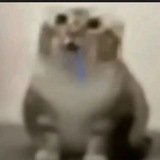 Telegram profile photo for жарик на днище