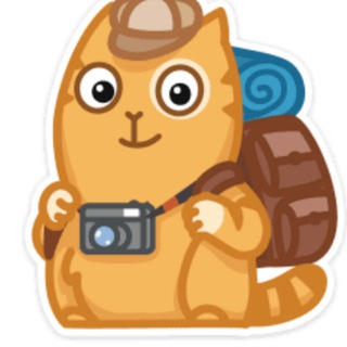 Telegram profile photo for gr1gg