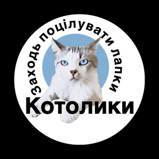 Telegram profile photo for Котолики