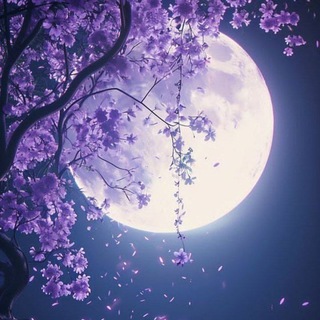 Telegram profile photo for ♡ MOON LIGHT ♡