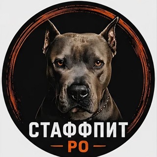 Telegram profile photo for ПОМОЩЬ Стафф_Пит РО