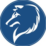 Telegram profile photo for BWT BigWolf Token Official π