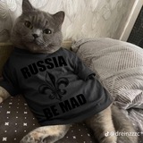 Telegram profile photo for R.I.P