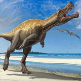 Telegram profile photo for IRRITATOR-INFO CHANNEL