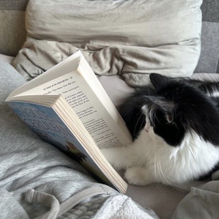 Telegram profile photo for Книжная станция и ее Кот || Продажа книг.