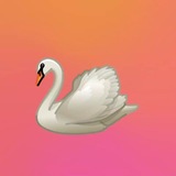 Telegram profile photo for archive