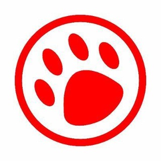 Telegram profile photo for Indonesia Furs - The Channel