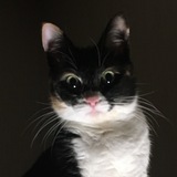Telegram profile photo for Зови меня Бузаля