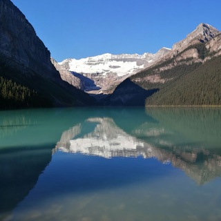 Telegram profile photo for Calgary Unjabbed Services