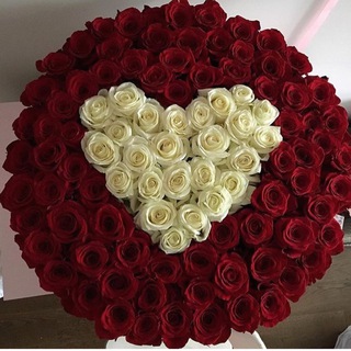 Telegram profile photo for OMA FLOWERS