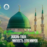 Telegram profile photo for Суфий
