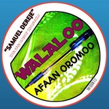 Telegram profile photo for Walaloo Afaan Oromoo