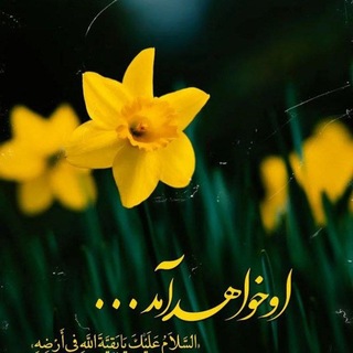 Telegram profile photo for بچه های امام زمانی عجل الله تعالی فرجه الشریف