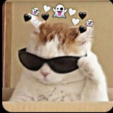 Telegram profile photo for Reserved