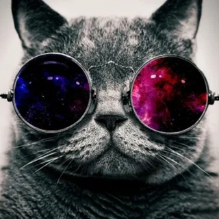Telegram profile photo for Swag100n #мг