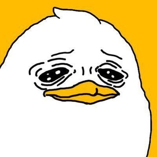 Telegram profile photo for $MONI KR