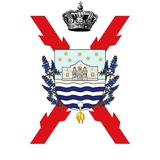 Telegram profile photo for Traditionalist Carlist Circle