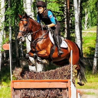 Telegram profile photo for Sivakova equestrian 🏇🏆