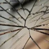 Telegram profile photo for Вестник треснувшего зеркала