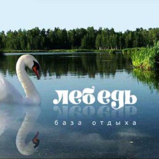 Telegram profile photo for Рыбалка в Астрахани | База Лебедь