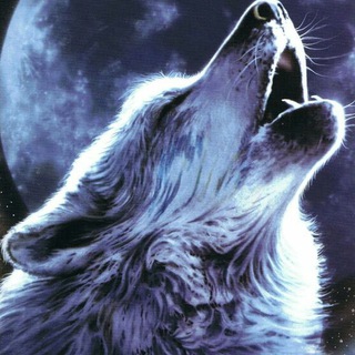 Telegram group profile photo for Lobetes 2.0. 2026