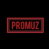 Telegram profile photo for PROMUZ PUBG