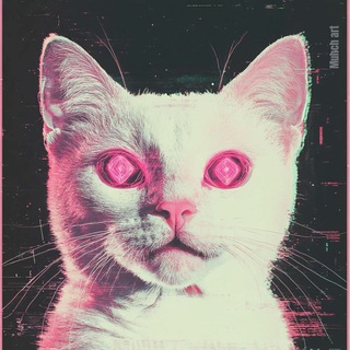 Telegram profile photo for Культ lis ha ko