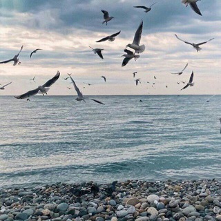Telegram profile photo for 🦋✨🌈د۠۠ریـــؒؔــاؒؔ ~𝗗𝗮𝗿𝗶𝗮🌊 ?