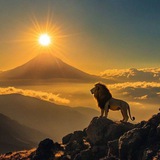 Telegram profile photo for وارثان شیر و خورشید