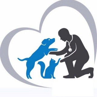 Telegram profile photo for Помощь Волонтёрам.