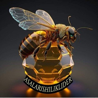 Telegram profile photo for 🐝🐝ASALARICHILIK LIDER🐝N-1🌍