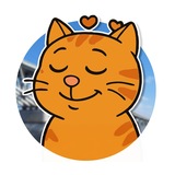 Telegram profile photo for Отдыхаем по-саратовски