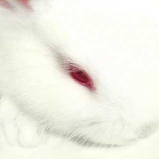 Telegram profile photo for ﹫≧.𝑀𝒾𝓃𝑜r̶i̶t̶y̶ 𝓁𝑜v̶e̶ i̶s̶𝓈𝓊𝑒𝓈⸝⸝♱