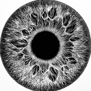 Telegram profile photo for 𝐑𝐀𝐃𝐎𝐍®