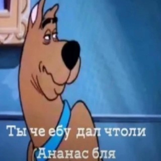 Telegram profile photo for firstmate hub