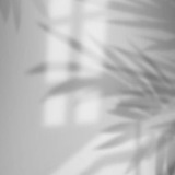 Telegram profile photo for • دانَة السلّوم •