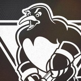 Telegram profile photo for Wilkes-Barre/Scranton-Penguins