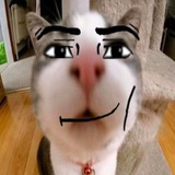 Telegram profile photo for Чо писать...??