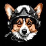 Telegram profile photo for PYATYGIN / Военный Архив 💾