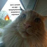 Telegram profile photo for Оками Досаму