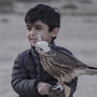 Telegram profile photo for ᷂الـيـامـي .