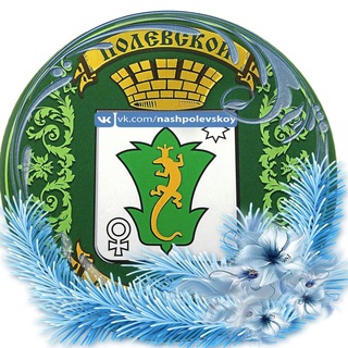 Telegram profile photo for НАШ ПОЛЕВСКОЙ